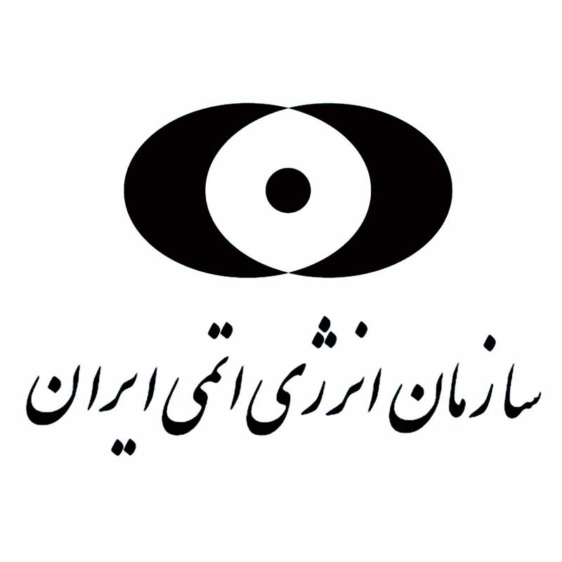 اجرای آسانسور برای سازمان انرژی اتمی